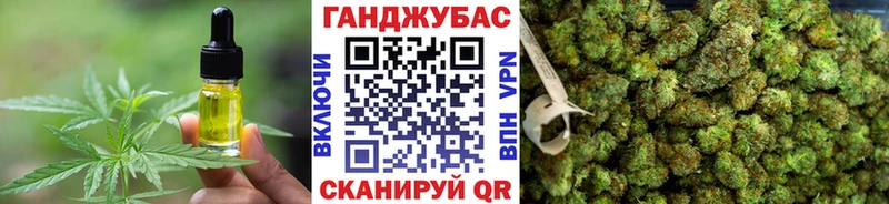 МЕГА ТОР  Вилючинск  Cannafood конопля 