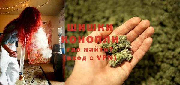 дурь Алексеевка