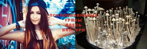 дурь Алексеевка