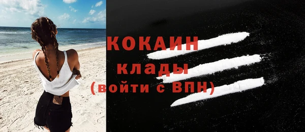 спайс Алзамай