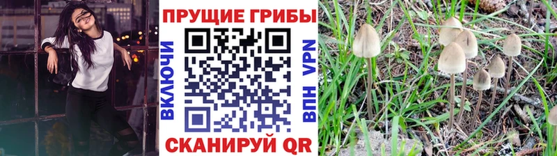 Галлюциногенные грибы Psilocybe  KRAKEN вход  Вилючинск 